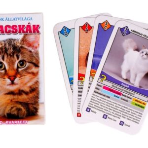 macskák ismeretterjesztő kártya