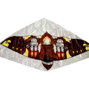 reptethető szélsárkány többféle